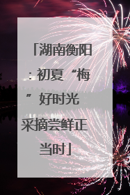 湖南衡阳：初夏“梅”好时光 采摘尝鲜正当时