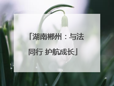 湖南郴州：与法同行 护航成长