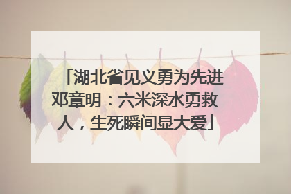 湖北省见义勇为先进邓章明：六米深水勇救人，生死瞬间显大爱