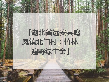 湖北省远安县鸣凤镇北门村：竹林遍野绿生金