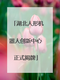 湖北人形机器人创新中心正式揭牌