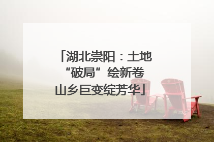 湖北崇阳：土地“破局”绘新卷 山乡巨变绽芳华