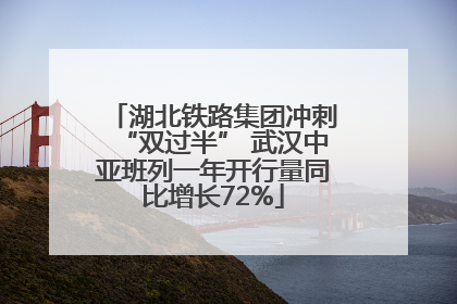 湖北铁路集团冲刺“双过半” 武汉中亚班列一年开行量同比增长72%
