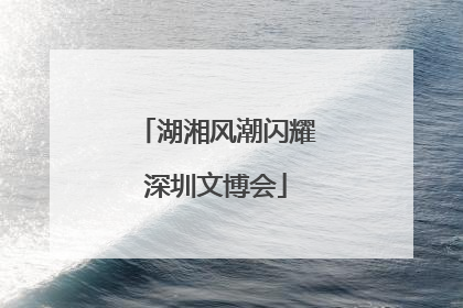 湖湘风潮闪耀深圳文博会