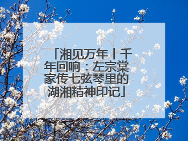 湘见万年丨千年回响：左宗棠家传七弦琴里的湖湘精神印记