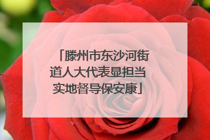 滕州市东沙河街道人大代表显担当实地督导保安康