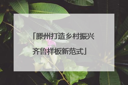 滕州打造乡村振兴齐鲁样板新范式