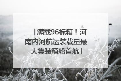满载96标箱！河南内河航运装载量最大集装箱船首航