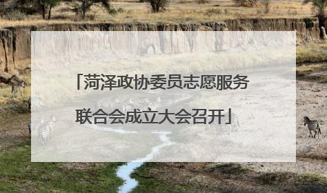 菏泽政协委员志愿服务联合会成立大会召开