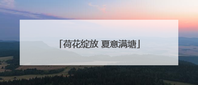 荷花绽放 夏意满塘