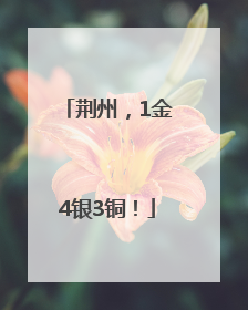 荆州，1金4银3铜！