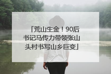 荒山生金！90后书记马传力带领张山头村书写山乡巨变