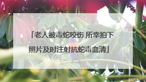 老人被毒蛇咬伤 所幸拍下照片及时注射抗蛇毒血清