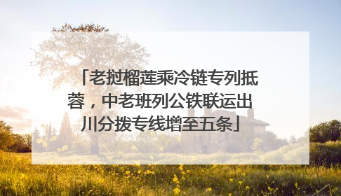 老挝榴莲乘冷链专列抵蓉，中老班列公铁联运出川分拨专线增至五条