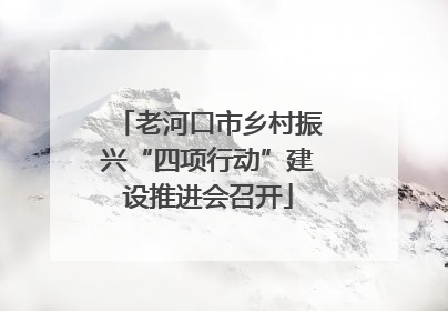 老河口市乡村振兴“四项行动”建设推进会召开