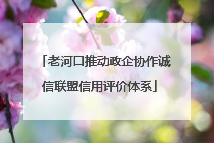 老河口推动政企协作诚信联盟信用评价体系