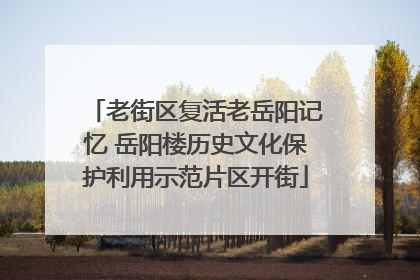 老街区复活老岳阳记忆 岳阳楼历史文化保护利用示范片区开街