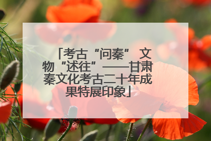 考古“问秦” 文物“述往”——甘肃秦文化考古二十年成果特展印象