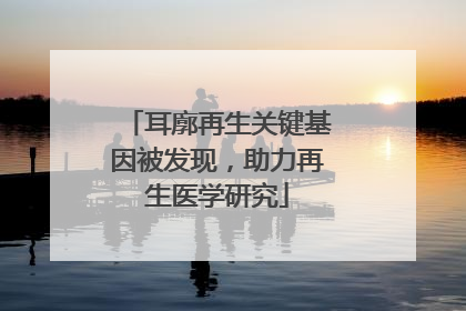 耳廓再生关键基因被发现，助力再生医学研究