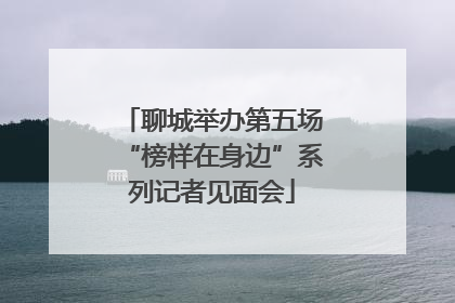 聊城举办第五场“榜样在身边”系列记者见面会