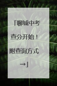 聊城中考查分开始！附查询方式→