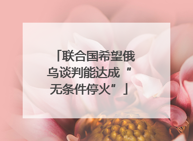 联合国希望俄乌谈判能达成“无条件停火”