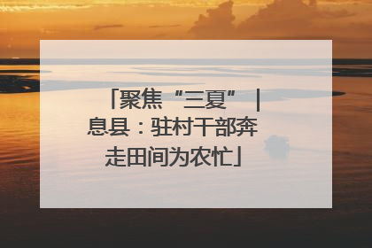 聚焦“三夏”｜息县：驻村干部奔走田间为农忙
