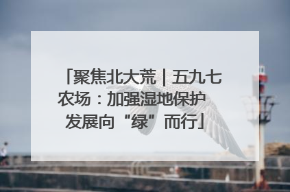 聚焦北大荒｜五九七农场：加强湿地保护 发展向“绿”而行