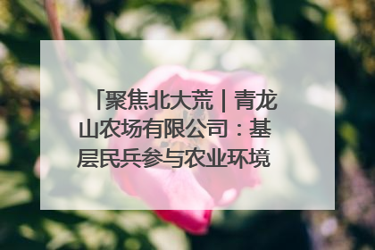 聚焦北大荒｜青龙山农场有限公司：基层民兵参与农业环境综合治理显效
