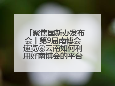聚焦国新办发布会丨第9届南博会速览⑥云南如何利用好南博会的平台带动作用，深化与南亚国家的交流与合作？