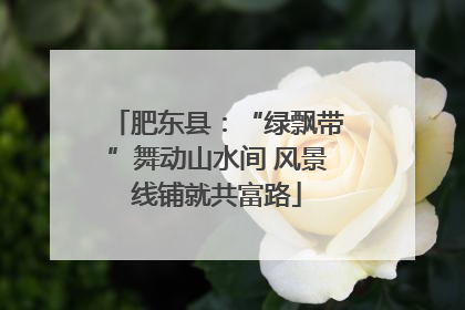 肥东县：“绿飘带”舞动山水间 风景线铺就共富路
