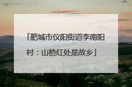 肥城市仪阳街道李南阳村：山楂红处是故乡