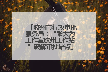胶州市行政审批服务局：“张大为工作室胶州工作站”破解审批堵点