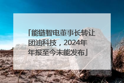 能链智电董事长转让团油科技，2024年年报至今未能发布