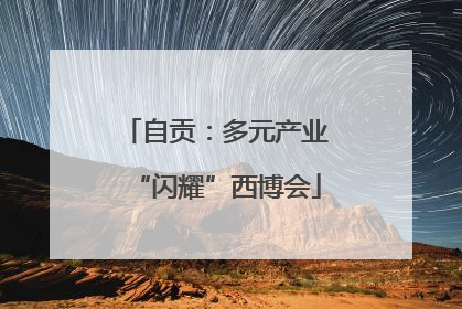 自贡：多元产业“闪耀”西博会