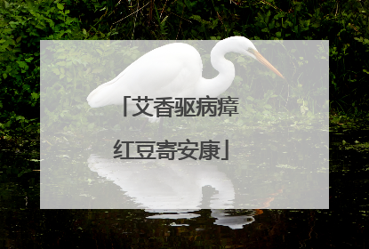 艾香驱病瘴 红豆寄安康