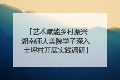 艺术赋能乡村振兴 湖南师大美院学子深入土坪村开展实践调研