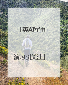 英AI军事演习引关注