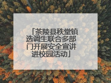 茶陵县秩堂镇选调生联合多部门开展安全宣讲进校园活动
