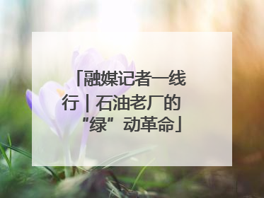 融媒记者一线行｜石油老厂的“绿”动革命