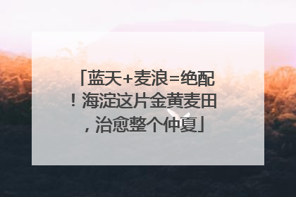 蓝天+麦浪=绝配！海淀这片金黄麦田，治愈整个仲夏