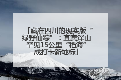 藏在四川的现实版“绿野仙踪”：宜宾深山罕见15公里“稻海”成打卡新地标