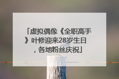 虚拟偶像《全职高手》叶修迎来28岁生日，各地粉丝庆祝