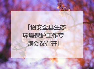 诏安全县生态环境保护工作专题会议召开
