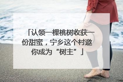 认领一棵桃树收获一份甜蜜，宁乡这个村邀你成为“树主”
