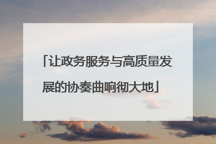 让政务服务与高质量发展的协奏曲响彻大地