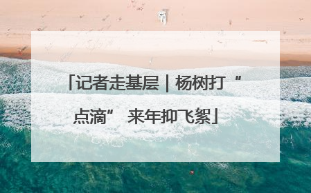 记者走基层｜杨树打“点滴” 来年抑飞絮