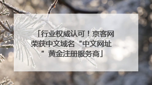 行业权威认可！京客网荣获中文域名“中文网址”黄金注册服务商