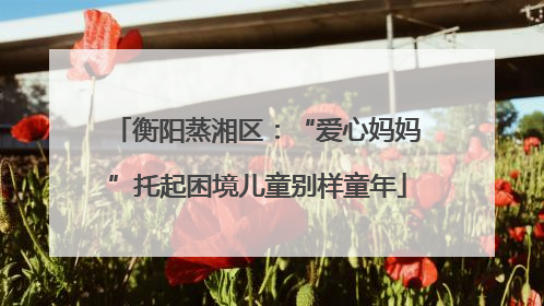 衡阳蒸湘区：“爱心妈妈”托起困境儿童别样童年