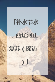 补水节水，西辽河正复苏（探访）